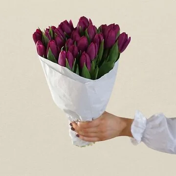 Bundt med 30 stilke lilla tulipaner
