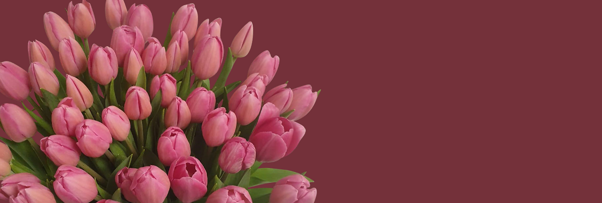 Tulipaner i vase: Sådan holder de hovedet højt længere
