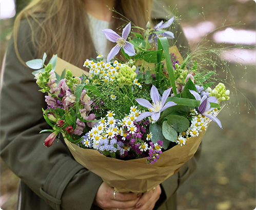 image_6